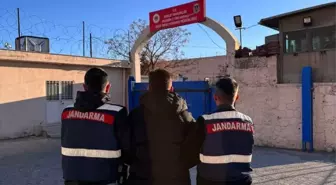 Mardin'de Firari Hükümlü Yakalandı