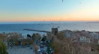 Sinop Kent Meydanı Millet Bahçesi Projesi Tamamlandı