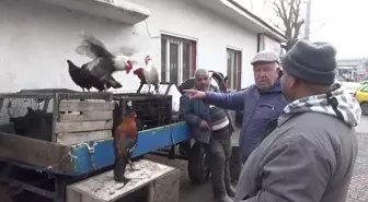 Edirne'de Yeni Yıl Öncesi Hindi Fiyatları Yükseliyor