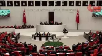 TBMM Genel Kurulu... Evrim Rızvanoğlu, 'Türkiye'nin Yeni Bir Kalkınma Hikayesi İçin Bir Çevre Rönesansına İhtiyacı Var'