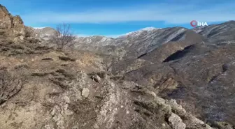 Tunceli'de Kurt Görüntülendi