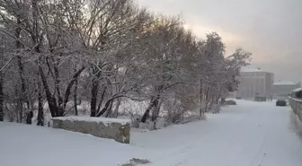 Yüksekova'da Kar Yağışı Etkili Oldu