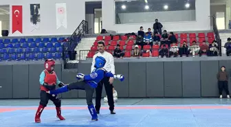 Hatay'da 'Sarıkamış Şehitlerini Anma Wushu Turnuvası' düzenlendi