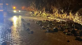 Adana'da Sağanak Yağış Sonucu İstinat Duvarı Çöktü