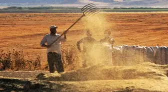 Tarımsal Girdi Fiyat Endeksi Yüzde 32,59 Arttı