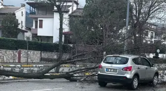 Denizli'de Fırtına Hayatı Olumsuz Etkiledi