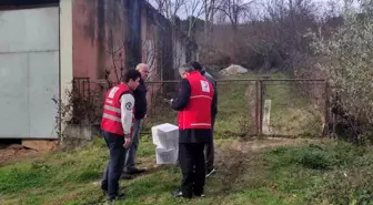 Kızılay Devrek'te İhtiyaç Sahiplerine Yardım Elini Uzatıyor