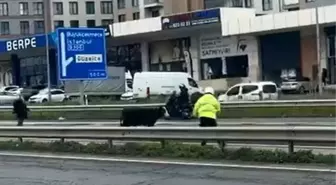 Büyükçekmece'de Dana Trafiği Kilitledi