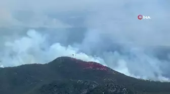 Avustralya'da Orman Yangını: 70 Bin Hektar Alan Küle Döndü