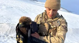 Erzurum'da Bitkin Halde Bulunan Kartal Kurtarıldı