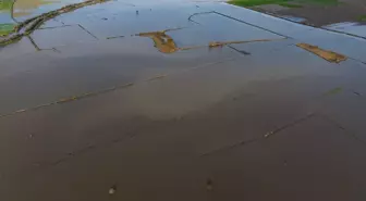 Büyük Menderes Nehri'nde Taşkınlar Yaşandı