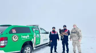 Erzurum'da Bitkin Halde Bulunan Kartal Tedavi Edilip Doğaya Bırakılacak