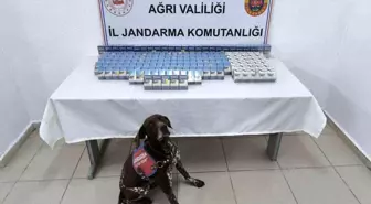 Ağrı'da Kaçak Sigara Operasyonu: 2 Bin Paket Ele Geçirildi