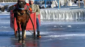 Ardahanlı Kızakçı Buzda Antrenman Yapıyor