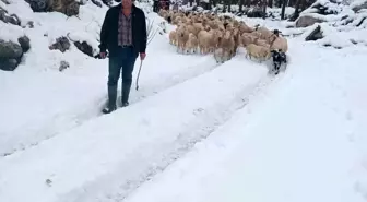 Burdur'da Mahsur Kalan Çoban ve Sürü Kurtarıldı