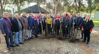 Nazilli'de 8 Bin 200 Sertifikalı Kestane Fidanı Dağıtıldı