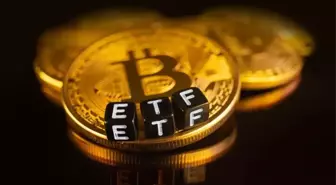 Bitcoin ETF'lerinde rekor giriş