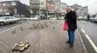 Kahramanmaraş'ta Deprem Sonrası Güvercinlere Destek