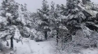 Çanakkale'de Kar Yağışı Hayatı Olumsuz Etkilemedi