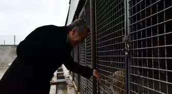 Mamak Belediyesi'nden Sokak Hayvanlarına Yeni Rehabilitasyon Merkezi