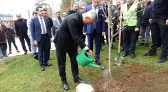 Sağlık Bakanı Memişoğlu'ndan Bilecik'te Çınar Fidanı Dikimi