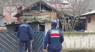 Akyazı'da Tüfekle Tavukları Telef Eden Şahıs Aranıyor