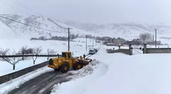 Van ve Bitlis'te Karla Mücadele Çalışmaları Sürüyor