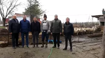 Genç Çiftçi Adem Yayla'nın Başarılı Yetiştiricilik Serüveni