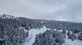 Yapraklı'nın Kar Manzarası Dronla Görüntülendi