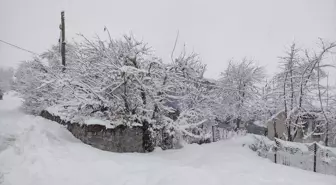 Elazığ ve Bingöl'de Kar Yağışı Ulaşımı Olumsuz Etkiledi