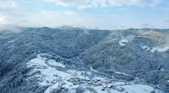 Kastamonu'da Kar Yağışı Sonrası Ormanlar Beyaza Büründü