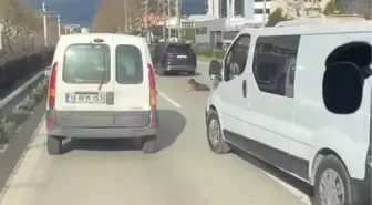 Bursa'da Yolda Oturan Köpek Trafiği Kilitledi