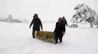 Burdur'da Yaban Hayvanlarına Kış Desteği