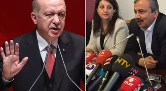 DEM Partili Koçyiğit'den İmralı mesajı: Bu süreç Erdoğan'sız olamaz