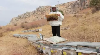 Siirt'te Genç Girişimci Arıcılıkla Geçim Sağlıyor