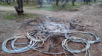 Aydın'da Enerji Nakil Kablolarını Çalan Şahıslar Yakalandı