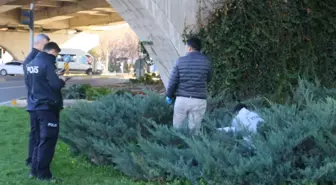 Çalıların arasından gelen kötü kokuyu takip edenler gördükleri karşısında dehşete düştü