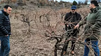 Kütahya'da Üzüm Pekmezi İncelemesi