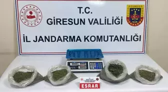 Giresun'da Uyuşturucu Operasyonu: 2 Şüpheli Tutuklandı