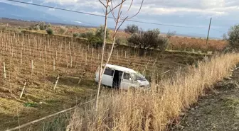 Denizli'de Kontrolden Çıkan Araç Üzüm Bağlarına Uçtu