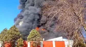 Kırklareli'nde Fabrika Yangını
