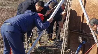 İtfaiye Ekipleri Kuyudan Düşen Köpek Yavrusunu Kurtardı