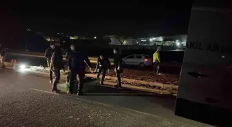 Şanlıurfa'da Yaya Kazası: Bir Kişi Hayatını Kaybetti