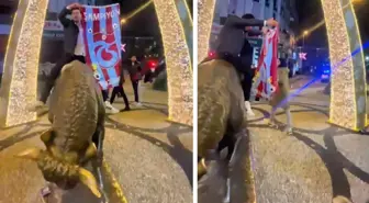 Trabzonsporlu taraftar, Kadıköy Boğa Heykeli'nde atkı açıp bağırdı