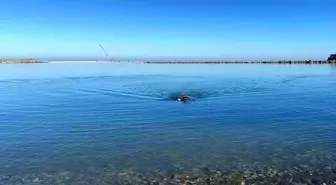 Soğuk Havada Deniz Keyfi: Kastamonulu Saim Güler Yeni Yılı Yüzerek Karşıladı