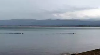 Yeni Yılın İlk Sabahında İznik'te Buz Gibi Gölde Yelken Sörfü