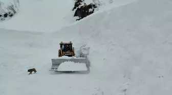 Artvin'in Borçka ilçesinde kapanan köylere ulaşım sağlandı