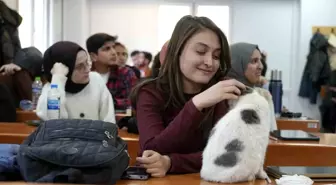 Adıyaman Üniversitesi'nin Sevimli Maskotu: Labne