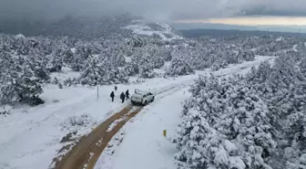 Muğla'da Yaban Hayvanları İçin Doğaya Yem Bırakıldı