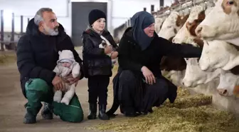 Almanya'dan Elazığ'a Dönüş: 432 Ton Süt Üreten Çiftlik